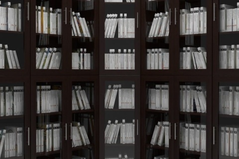 Книжный шкаф Мебелайн-16
